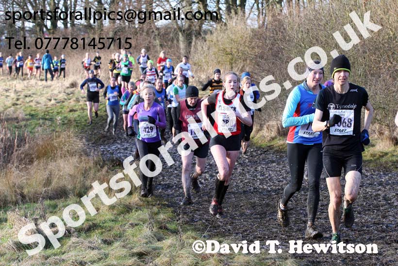 Senior womens Start Fitness NEHL, Herrington Country Park, near Sunderland. Photo:  David T. Hewitson/Sports for All Pics